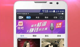 10大直播 91,揭秘10大热门直播平台背后的故事