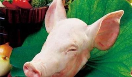 猪头吃瓜爆料图片高清,高清图揭秘娱乐圈幕后真相